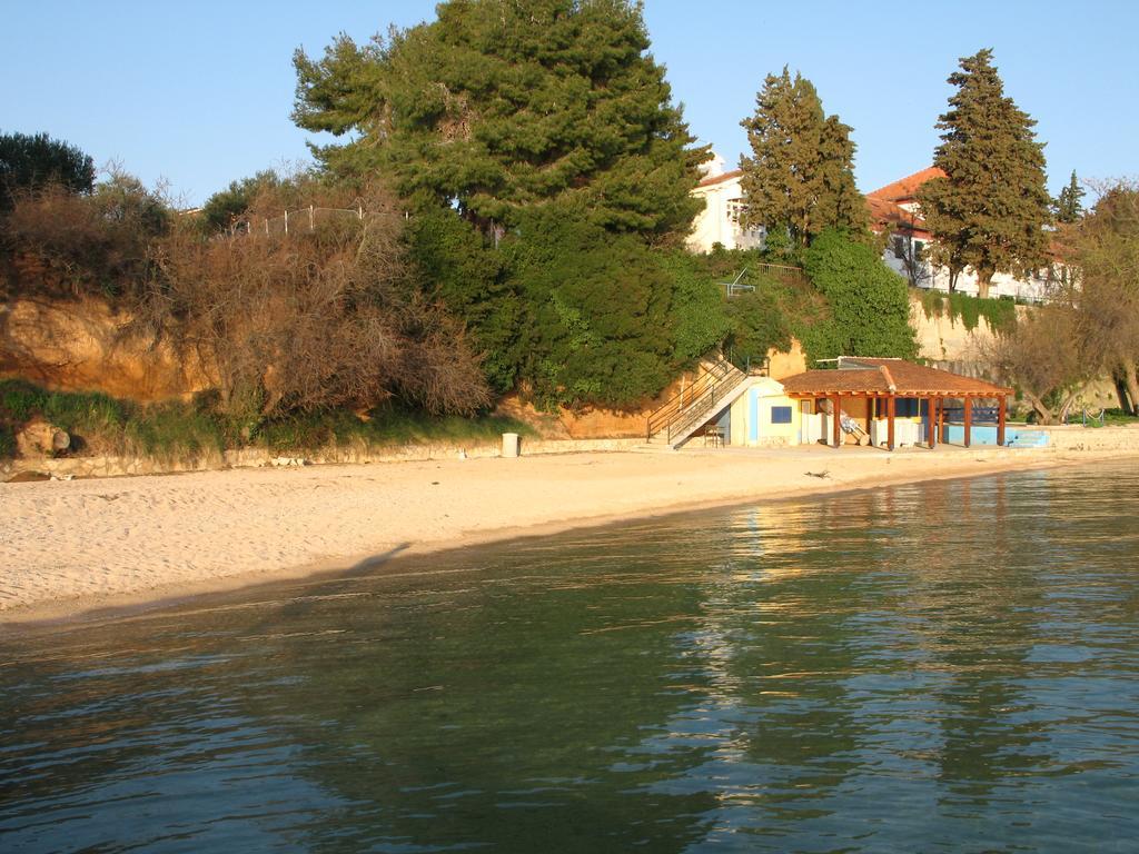 Apartments Villa Agatha Sveti Filip i Jakov Dış mekan fotoğraf